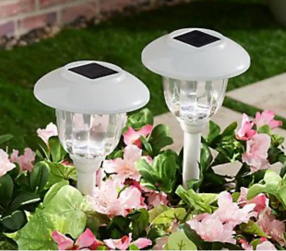 Energizer 12 Pack Solar Pathway Light Set 15-Lumen Factory Price