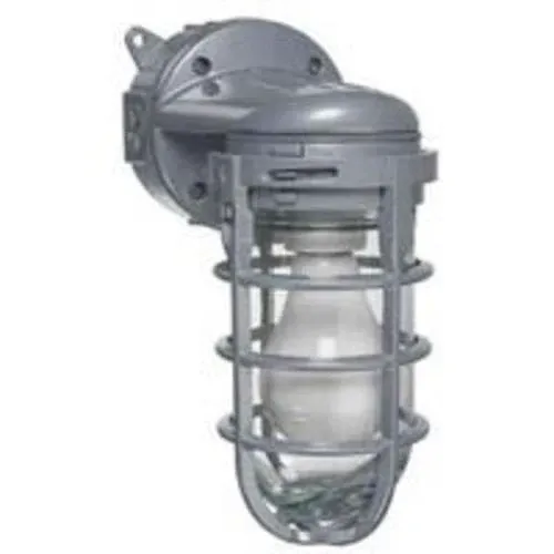 Carlon MCL150W Metal Cage Wall Mount Light One Day Deal