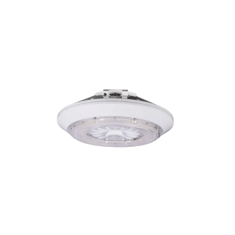Trusted Brand LED Lighting Wholesale Inc. Up/Down Gas Station Canopy Light, 45 Watt, Dimmable